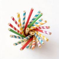 Pailles en papier de fibre de bambou, pailles durables en fibre de canne à sucre, alternatives écologiques pour remplacer les pailles en plastique