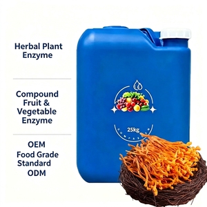Hidrolizado Enzimático de Cordyceps Militaris Cultivado de Grado Alimenticio, Alta Concentración, Fermentado, Suplemento Líquido para la Salud, en Tambor - Product Image 1