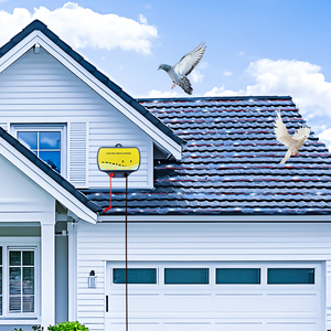 Caricatore per Barriera Anti-Uccelli, Recinzione Elettrica 12V DC, Repellente per Uccelli, Funziona su Tutti i Tipi di Uccelli - Product Image 3