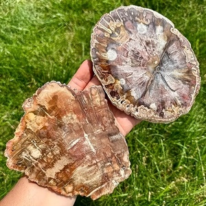 Groothandel natuurlijk gepolijste fossiele houten plaat ruwe versteende houten steensnede specimen met Feng Shui & Boeddhistisch thema - Product Image 6