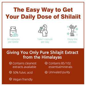 Prival Label suplemen kapsul Shilajit satu hari untuk meningkatkan permeabilitas kulit dan membantu meningkatkan kepadatan Mineral tulang - Product Image 5