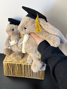 Peluche Coniglio Jelly Cats Classe 2026 per il Raggiungimento della Piazzata di Laurea con Sacchetto Antipolvere Gratuito, Regalo Commemorativo per Studenti - Boutique - Product Image 5