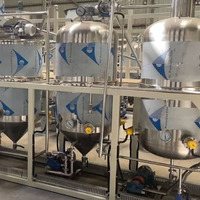 Petite machine de raffinage d'huile comestible en acier inoxydable pour huiles de palme, d'arachide, de soja et de tournesol