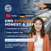 LHS Chine vers Allemagne DAP Livraison à Domicile Express Frais de Douane Payés DAP Livraison à Domicile Trajet fiable et rapide