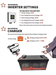EU 재고 12V 100Ah 200Ah 300Ah LiFePO4 배터리 딥 사이클 태양 에너지 저장 시스템용 - Product Image 2