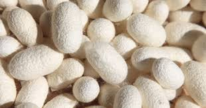 Aogubio lớp mỹ phẩm 99% chất lượng cao Peptide <span class=keywords><strong>protein</strong></span> tơ thủy phân chất lỏng cho các sản phẩm tóc <span class=keywords><strong>Protein</strong></span> tơ thủy phân chất lỏng - Product Image 5