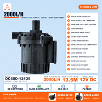 Pompe sans balais à vitesse fixe 12V DC ZKSJ personnalisée, 2000L/H, 13.5M, 52W, puissance constante pour machine à café, machine à glaçons
