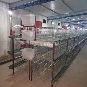 Poulailler pour poules pondeuses Conception de ferme avicole <span class=keywords><strong>Cage</strong></span> verticale automatique pour poules pondeuses de type H - Product Image 6