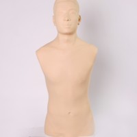 Simulateur d'examen de la glande thyroïde, mannequin d'examen physique pour les structures anatomiques et la palpation de la glande thyroïde