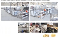 Ligne de production de chips de pommes de terre de 300 kg/h, machine automatique de fabrication de chips, fabrication directe en usine, bon prix