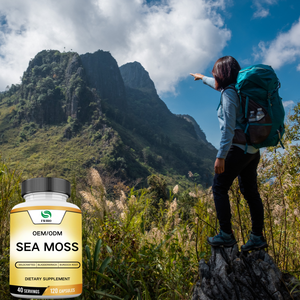 Rumput laut organik, rak pisau, dan kapsul akar Burdock-1200mg rumput laut - Product Image 2