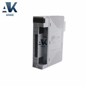 Módulo de entrada analógica S1 Yokogawa de 1/2" - Product Image 1