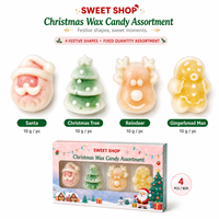 Bonbons en bouteille de cire à thème festif 40g, en vrac, pour fêtes de Noël, friandises gélifiées douces de qualité alimentaire, thème pays des merveilles hivernal