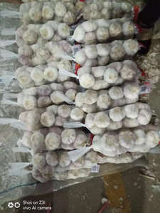 Plantador de ajo/agricultor en <span class=keywords><strong>China</strong></span> con buen precio - Product Image 2