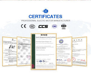 Motore Elettrico Monofase Serie YL 1.5kW 2HP <span class=keywords><strong>a</strong></span> Doppio Condensatore, Motore <span class=keywords><strong>a</strong></span> Induzione AC ad Alta Coppia di Avviamento per Compressore d'Aria e Pompa - Product Image 4