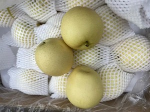 Lê Ya ngọt lê vàng tươi lê Trung Quốc Chất lượng cao Lê singo - Product Image 6