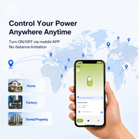 Interruptor de Circuito Inteligente WiFi Mini de 1 Polo RMshebei RMDZT-1PNL 63A, Control Remoto, Monitor de Energía, Protección de Voltaje Ajustable, DIN