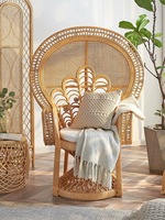 Fauteuil et canapé en rotin au design moderne, populaires pour la location d'événements de mariage, les banquets, les écoles, fabriqués en résine et en matériau PC