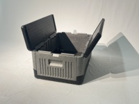 Refroidisseur de coffre en mousse EPP isolé pliable portable 100% recyclable chaud/froid thermique moderne avec capacité de logo personnalisé