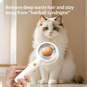 Peine de mensaje en aerosol, cepillo recargable para depilación de mascotas, peine de masaje en aerosol para mascotas, peines para gatos con mango, cepillo de vapor para mascotas - Product Image 5