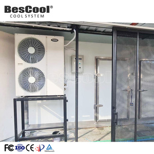 Unidad de condensación Bescool serie AL, refrigeración <span class=keywords><strong>para</strong></span> congelador rápido, almacenamiento en cámara frigorífica de <span class=keywords><strong>frutas</strong></span> <span class=keywords><strong>y</strong></span> <span class=keywords><strong>verduras</strong></span> - Product Image 4