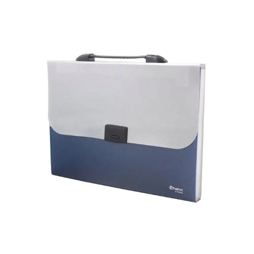 Document File Folder Expanding A4 Paper and Letter Size Archival File Organizer 13 Pockets