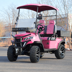 2 <strong>Seater</strong> Pink Adjustable Seats <strong>Electric</strong> Club <strong>Car</strong> Golf Carts Equipped with 3.5KW AC Motor for Off-road Hunting - Product Image 1