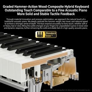 <span class=keywords><strong>Piano</strong></span> <span class=keywords><strong>numérique</strong></span> TERENCE E55 à 88 touches avec mécanisme à marteaux gradués, source sonore professionnelle, <span class=keywords><strong>piano</strong></span> électrique droit - Product Image 2