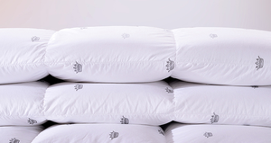 Manta de plumón de ganso de alta potencia, relleno de plumas, comodidad Natural - Product Image 2