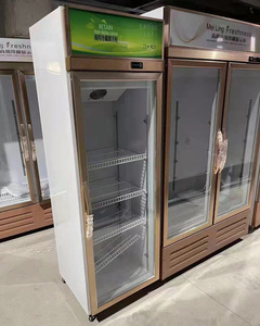 ビジネスニーズに応える信頼性の高いコカ・コーラ冷蔵庫ガラス扉で効率