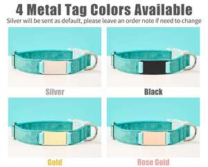 Ensemble collier et laisse personnalisés en cuir suédé pour animaux de compagnie, collier pour chat Aqua personnalisé avec étiquette nominative en métal gravée et clochette offerte - Product Image 6