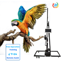 Impresora de inyección de tinta UV de Arte de pared automática portátil vertical 3D Impresora de pared de tinta Uv