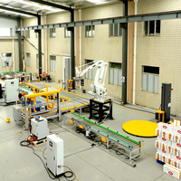 Palettiseur robotisé flexible pour cartons, nécessitant un positionnement précis, une structure durable et une longue durée de vie