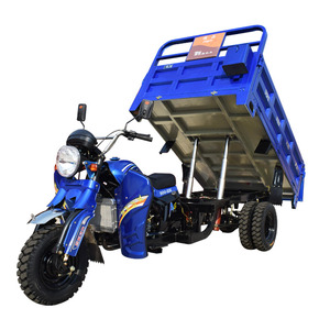 Triciclo Motorizado para Adultos con Motor de 200cc, Carrocería Abierta y Alta Capacidad de Carga - Product Image 1
