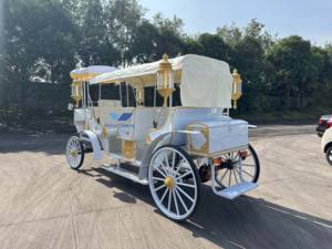 Carruaje eléctrico clásico de estilo europeo para hacer turismo, boda, lujo, Cenicienta, Metal, calabaza, caballo, carro, favores a la venta - Product Image 4