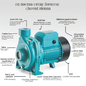 סדרת cPM ac משאבת מגבר צנטריפוגלי עבור משק בית בלחץ גבוה משק בית & השקיה חקלאית - Product Image 4