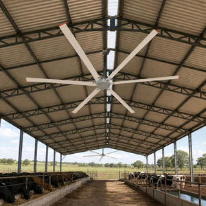 Ventilateur HVLS pour étable à litière, pour zone de repos à sec des vaches laitières, sans refroidissement, pour veaux nouveau-nés, compatible avec les aménagements rénovés et les bâtiments neufs - Product Image 1