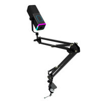 WM13 Freiarm-Ständer Supernierenmikrofon mit USB und RGB-Dynamiktreiber für Live-Streaming und Gaming