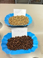 Meilleur Prix HACCP Kafei Dalakon Da Lat Style Vietnam Acidulé Vente en Gros 250g Torréfaction Moyenne Arabica Bourbon Grains Entiers Italien