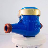 CE Multi-Jet Cast Iron Mechanical Water Meter ISO4064 Mechanical Water Meter Thread Blue Body R80 Bulk Export