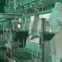 Machines d'abattoir de chine, équipement d'abattoir pour projet clé en main ligne d'abattage de moutons