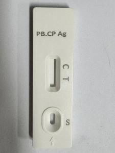 Teste rápido do instrumento veterinário para pássaros do animal de estimação <span class=keywords><strong>Chlamydia</strong></span> Psittacosis antígeno usado para o diagnóstico - Product Image 4