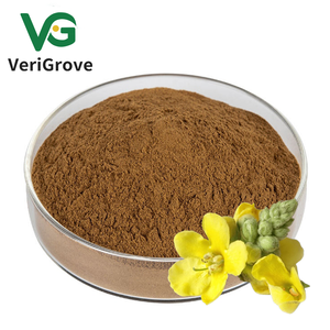 Voedingssupplement 10:1 20:1 50:1 Natuur <span class=keywords><strong>Verbascum</strong></span> <span class=keywords><strong>Thapsus</strong></span> <span class=keywords><strong>Extract</strong></span> Poeder Mullein Bladextract Poeder - Product Image 2