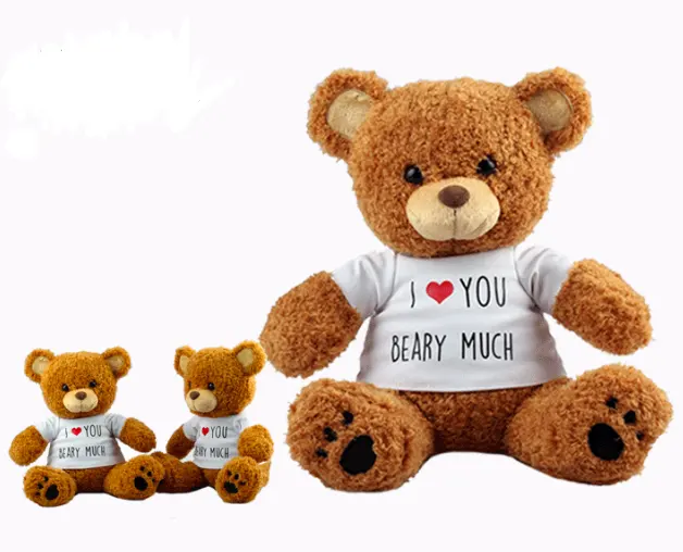 Relatiegeschenken Kids Pluche Beer Knuffels Branded Custom Logo Teddybeer Met T-shirt Groothandel Fabriek Teddybeer