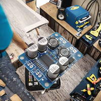 Módulo de Placa Amplificadora de Audio Digital XH-M311 Mini Versión TPA3118, Kits de Desarrollo de Amplificador de Potencia Mono de 60W 30W