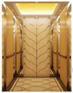 <span class=keywords><strong>Ascensor</strong></span> Moderno de Acero Inoxidable Hecho a Mano, sin Engranajes, con Tracción, para Uso en Hoteles, Apartamentos y Villas, con Materiales de Alta Calidad - Product Image 1