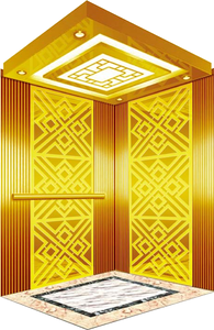 Ascenseur de Villa Personnalisé pour Domicile, Confortable et Silencieux, avec Machine à Traction, OEM ODM Disponibles - Product Image 4