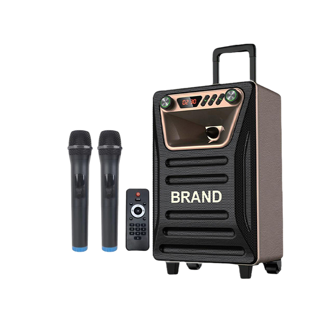 Factory Stock Wholesale Speaker 8 Inch Woofer Karaoke USB SD LED Outdoor Trolley Speaker with Mic