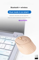 Souris ergonomique sans fil OEM/ODM avec rétroéclairage LED, orange clair, pour droitier, avec charge Type-C, pour bureau et domicile, en stock