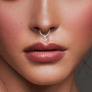 Nouveau à la mode G23 titane F136 serpent forme CZ incrustation nez cerceau segmenté oreille boucle d'oreille <span class=keywords><strong>Tragus</strong></span> Clips charnière anneau femmes <span class=keywords><strong>Piercing</strong></span> bijoux - Product Image 2